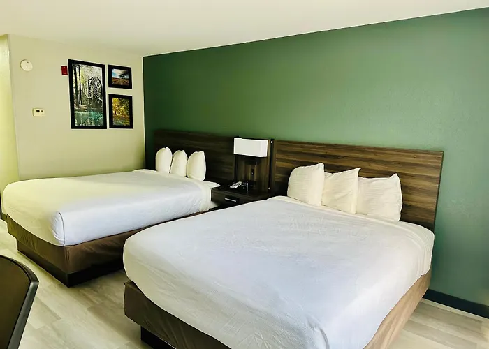 La Quinta By Wyndham Rome